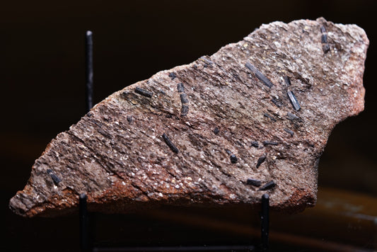 Native Maryland Tourmaline in Host Rock