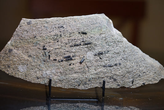 Native Maryland Tourmaline in Host Rock